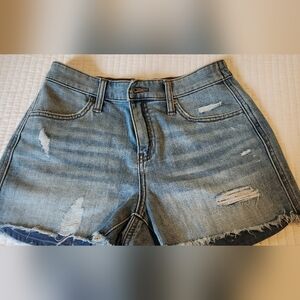 Aerie Blue Denim Shorts